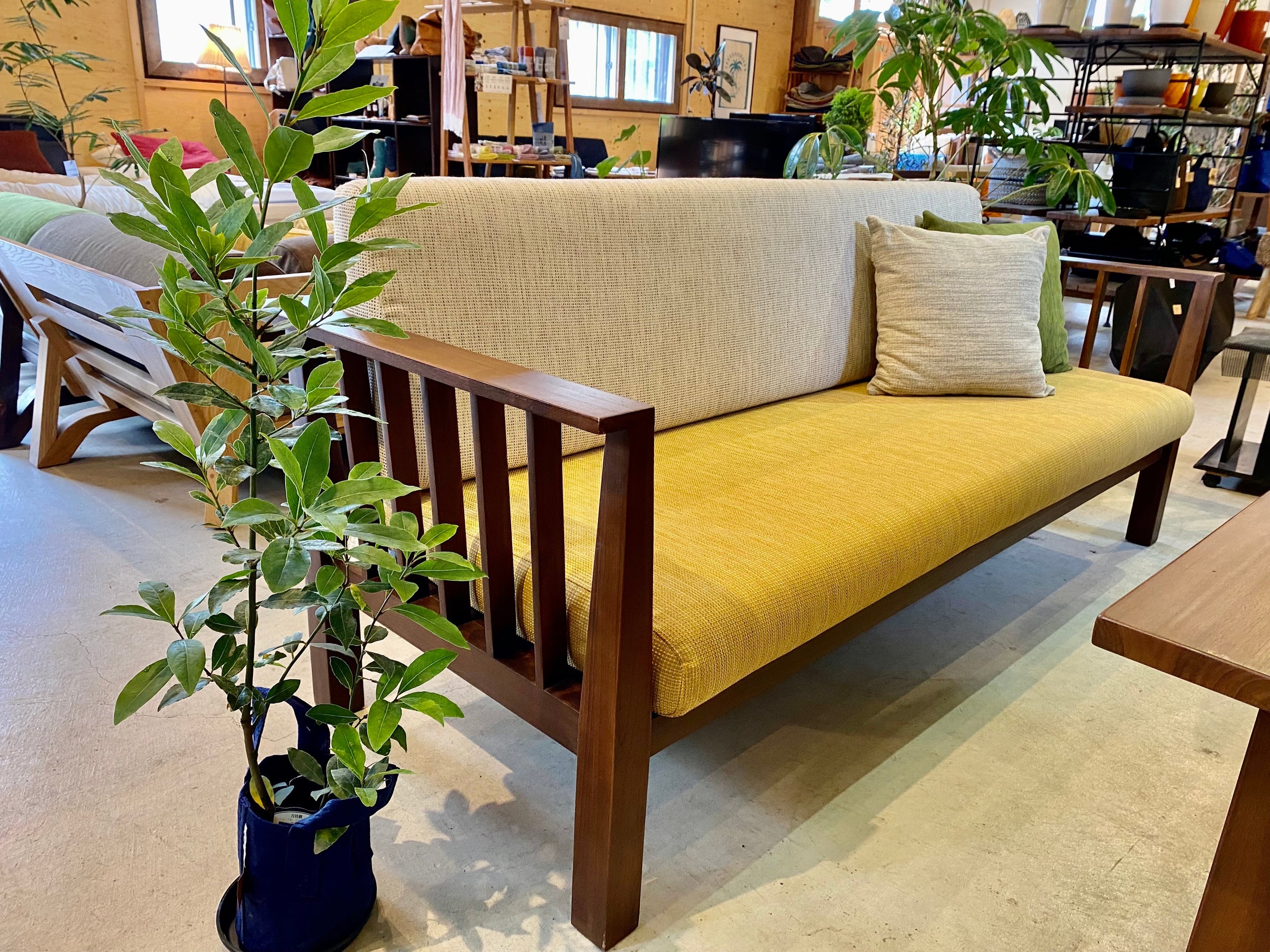 月桂樹 (ローリエ) | Interior Production SabiSabi